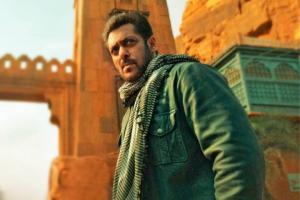 Box Office: Tiger 3 Third Day Early Estimates; Shows Strong Hold