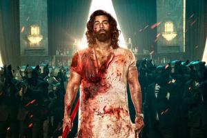 Top 10 Hindi Advance Sales For Opening Day At National Chains; 'Animal' To Finis...