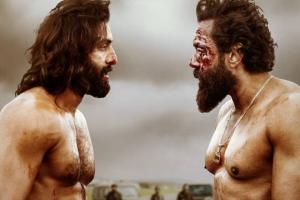 Ranbir Kapoor's 'Animal' Becomes 4th Indian Movie of 2023 To Hit 3 Crore Footfal...