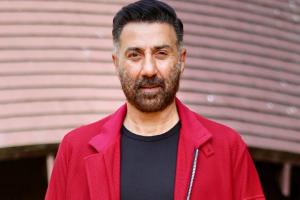 List Of Sunny Deol Top 10 Box Office Movies (India Net)