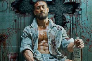 Baaghi 4 Box Office Collection | All Language | Day Wise | Worldwide