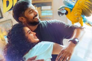 The Pet Detective Box Office Collection | All Language | Day Wise | Worldwide