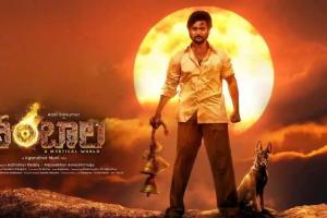 Shambhala Box Office Collection | All Language | Day Wise | Worldwide