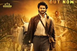 Shambhala Box Office: Film Crosses ₹15 Crore Mark as Rishab Shetty Launches Hi...