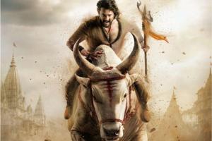 SS Rajamouli's Varanasi To Be Shot In Antarctica? Mahesh Babu And Priyanka Chopr...