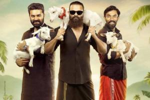 Aadu 3 Box Office Collection | All Language | Day Wise | Worldwide