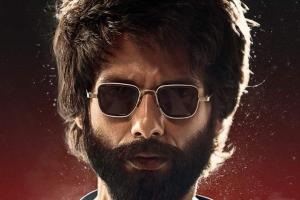 Kabir Singh Box Office Collection | Day Wise | Worldwide