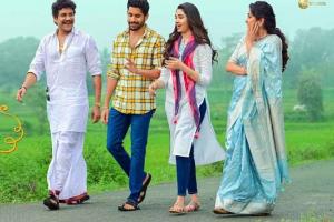 Bangarraju Box Office Collection | All Language | Day Wise | Worldwide