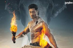 2019 | Junglee Box Office Collection | Day Wise | Worldwide