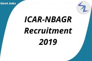 ICAR-NBAGR Recruitment 2019| Open Posts for Young Professionals, Research Associ...