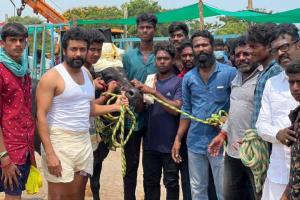 Suriya To Begin Vetrimaaran's 'Vaadi Vaasal' Shoot From December 2022?